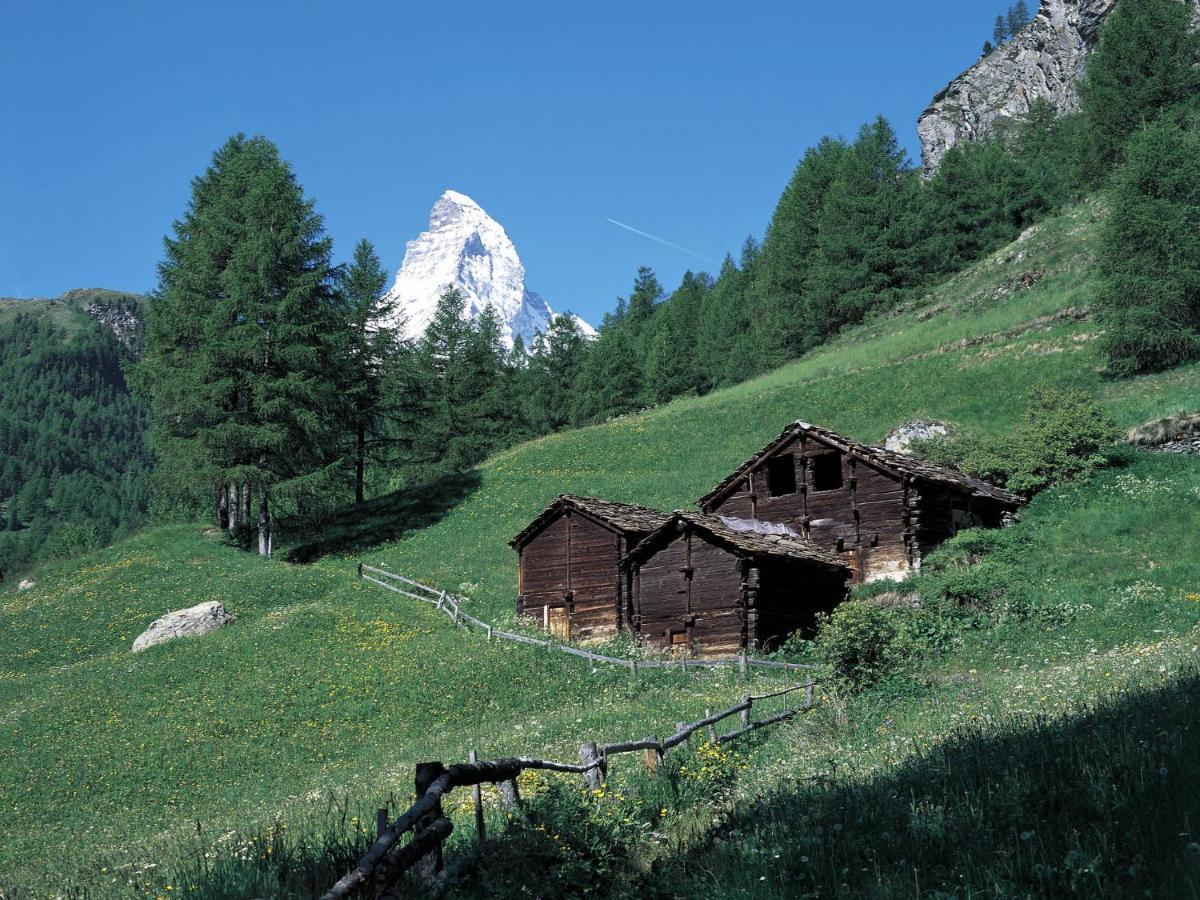 Apartment Aquila By Interhome Zermatt Zewnętrze zdjęcie